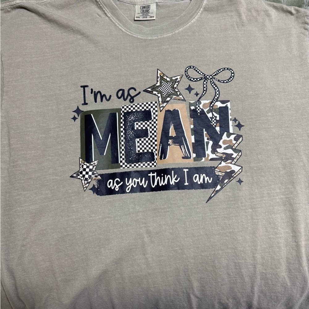 Graphic Tee "I'm As Mean As You Think I Am" - sage
